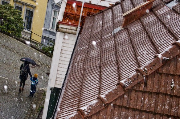 May 3. I woke up to this view.