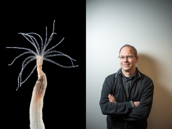 Odd couple. The model organism and the biologist