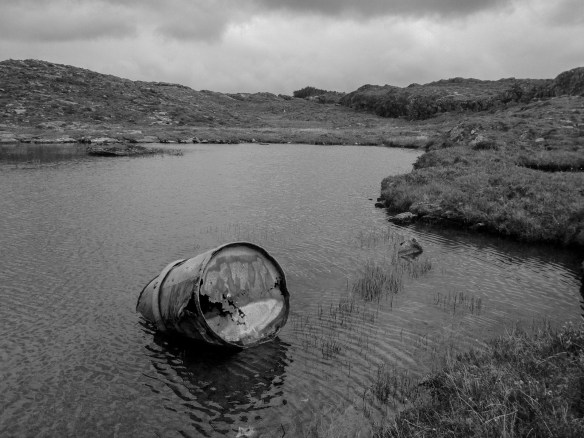 Barrel toad, hampered by oxidation sickness