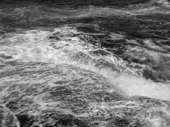 Steam powered sub-zebra, hunting crabs