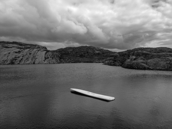 Flatbacked hovering hippo, albino specimen