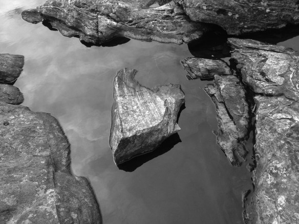 Mineral mimic micro-moose, hiding in plain sight, outsmarting even the cryptozoologist