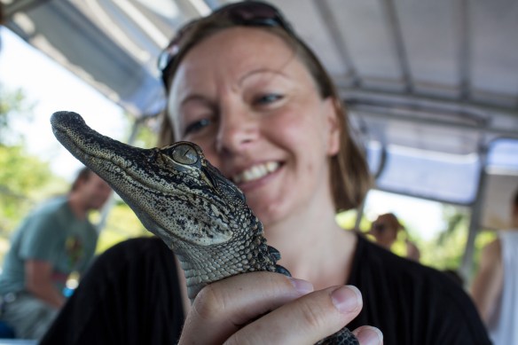Alligator 4. My girlfriend having just completed the course "Caring for your alligator." Lesson 101: The belly rub 