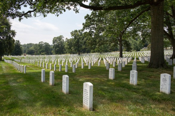 Arlington #02