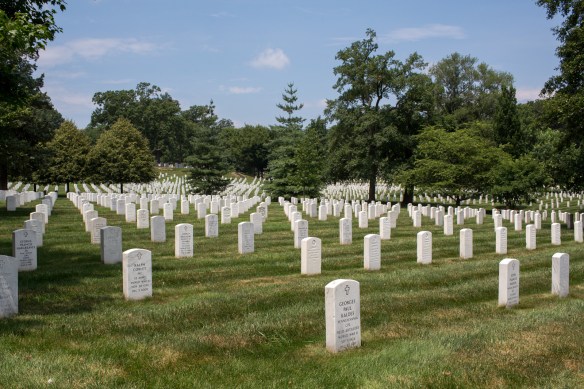 Arlington #04