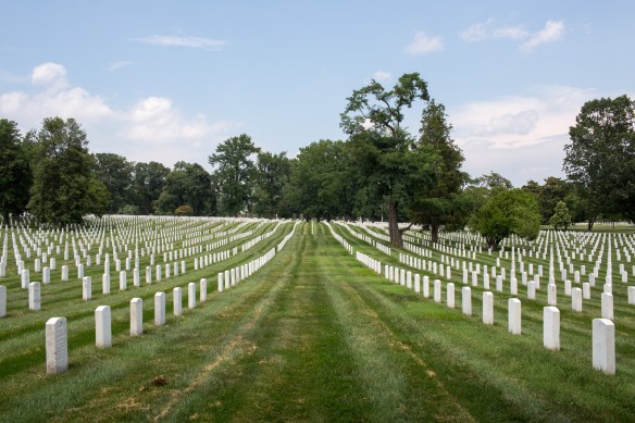 Arlington #05