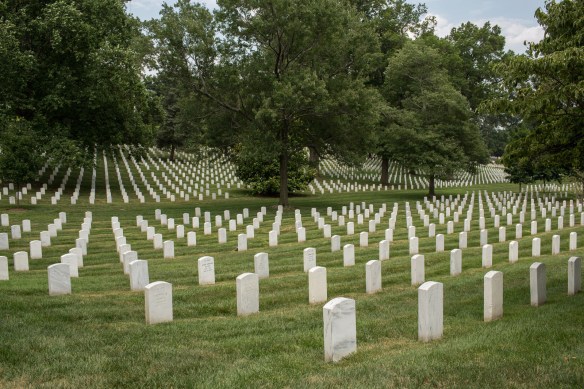 Arlington #07