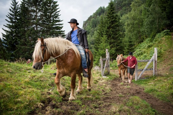 There ain't much cattle in Hardanger. There are, however proper cowboys