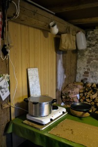 Skull Sunday #2. Simmering sheep