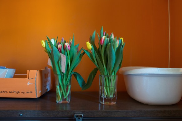 Kala #4. Aud and Agnar met at a gathering for western expats in the Norwegian capital of Oslo in the late 1960s