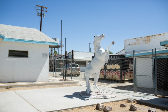 Desert #4. Restroom Stallion, Amboy