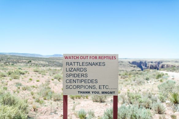 Desert #6. Et cetera