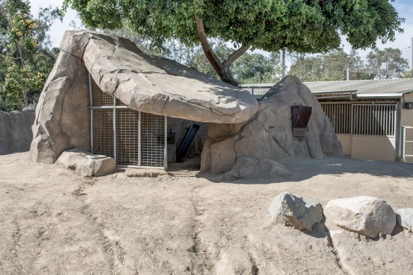 Zoo #8. No Pronghorns