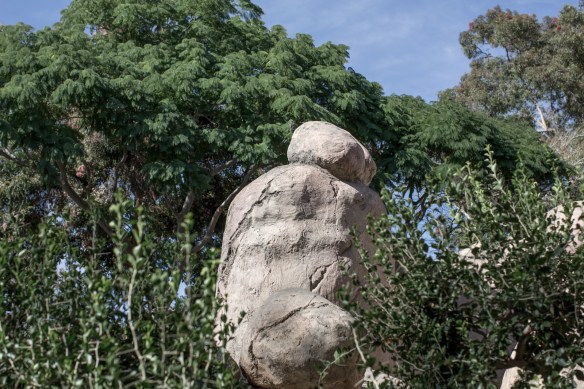 Zoo #9. No Klipspringers