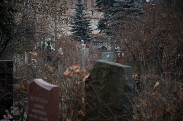 Novodevichy Cemetery #06