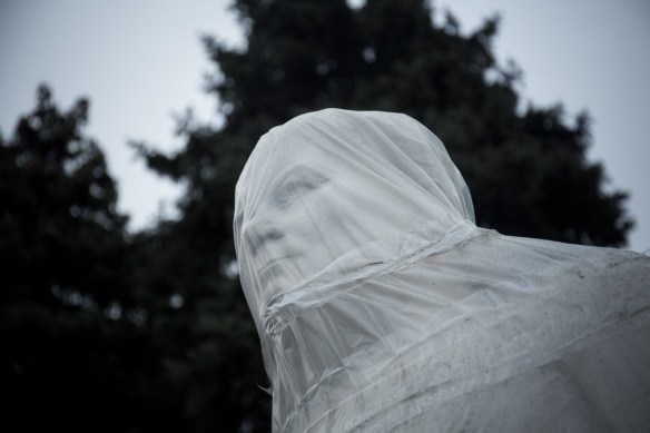 Stone-face #10: Filipp Ivanovich Golikov