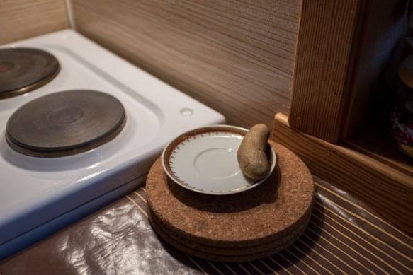 Bremanger #7. Potato