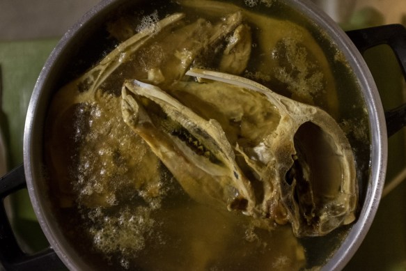 Bremanger #9. Food is ready