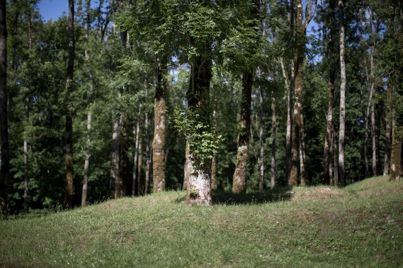 Village Douaumont. Today